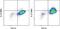 Epstein-Barr Virus Induced 3 antibody, 12-7358-41, Invitrogen Antibodies, Flow Cytometry image 