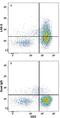 Lymphocyte Activating 3 antibody, FAB2319F, R&D Systems, Flow Cytometry image 