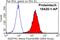 Sequestosome 1 antibody, 18420-1-AP, Proteintech Group, Flow Cytometry image 
