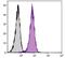 CD2 Molecule antibody, NBP1-26666, Novus Biologicals, Flow Cytometry image 