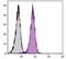 CD2 Molecule antibody, NBP1-26666, Novus Biologicals, Flow Cytometry image 