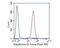 Gasdermin D antibody, NBP2-80427, Novus Biologicals, Flow Cytometry image 