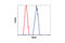 NUMB Endocytic Adaptor Protein antibody, 2756T, Cell Signaling Technology, Flow Cytometry image 