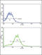 Bone Morphogenetic Protein Receptor Type 2 antibody, 60-854, ProSci, Immunofluorescence image 