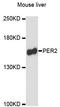 Period Circadian Regulator 2 antibody, LS-C748230, Lifespan Biosciences, Western Blot image 