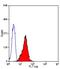 Fas Ligand antibody, GTX42343, GeneTex, Flow Cytometry image 
