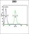 ES Cell Expressed Ras antibody, orb214057, Biorbyt, Flow Cytometry image 