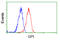 Glucose-6-Phosphate Isomerase antibody, LS-C115173, Lifespan Biosciences, Flow Cytometry image 