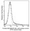 MCAM antibody, 50794-R241, Sino Biological, Flow Cytometry image 