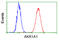 Aldo-Keto Reductase Family 1 Member A1 antibody, GTX84913, GeneTex, Flow Cytometry image 