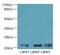 Vacuolar Protein Sorting 25 Homolog antibody, A67906-100, Epigentek, Western Blot image 