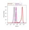 Keratin 8 antibody, MA5-12281, Invitrogen Antibodies, Flow Cytometry image 