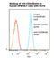 CD46 Molecule antibody, LS-C777361, Lifespan Biosciences, Flow Cytometry image 