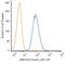 RNA Binding Fox-1 Homolog 3 antibody, NBP1-92693PE, Novus Biologicals, Flow Cytometry image 