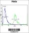 Muscleblind Like Splicing Regulator 2 antibody, 56-801, ProSci, Flow Cytometry image 