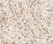 Interleukin 9 antibody, A02925-1, Boster Biological Technology, Immunohistochemistry frozen image 
