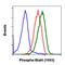 Signal Transducer And Activator Of Transcription 4 antibody, MA5-28066, Invitrogen Antibodies, Flow Cytometry image 