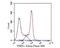 Thioredoxin Related Transmembrane Protein 1 antibody, NBP2-80422, Novus Biologicals, Flow Cytometry image 