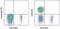 CD28 antibody, 12-0289-41, Invitrogen Antibodies, Flow Cytometry image 