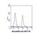 SET Domain Containing 7, Histone Lysine Methyltransferase antibody, NBP1-04298, Novus Biologicals, Flow Cytometry image 