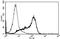 T12 antibody, AM31218PU-N, Origene, Flow Cytometry image 