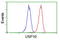 Ubiquitin Specific Peptidase 10 antibody, LS-C173574, Lifespan Biosciences, Flow Cytometry image 