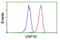 Ubiquitin carboxyl-terminal hydrolase 10 antibody, LS-C173574, Lifespan Biosciences, Flow Cytometry image 