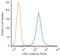 CD81 Molecule antibody, NBP1-44861PE, Novus Biologicals, Flow Cytometry image 