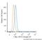 c-Myc antibody, NB600-302C, Novus Biologicals, Flow Cytometry image 