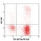 Interferon Gamma antibody, 506510, BioLegend, Immunocytochemistry image 