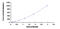 TNF Receptor Superfamily Member 18 antibody, MBS2021934, MyBioSource, Enzyme Linked Immunosorbent Assay image 