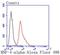 Hepatocyte Nuclear Factor 4 Alpha antibody, NBP2-67679, Novus Biologicals, Flow Cytometry image 