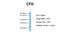 Complement Factor D antibody, NBP1-79793, Novus Biologicals, Western Blot image 