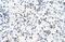 Ferrochelatase, mitochondrial antibody, PA5-42073, Invitrogen Antibodies, Immunohistochemistry frozen image 