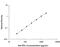 Interferon Gamma antibody, RIF00, R&D Systems, Enzyme Linked Immunosorbent Assay image 