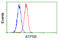 ATP Synthase F1 Subunit Beta antibody, GTX84845, GeneTex, Flow Cytometry image 