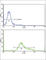 Guanine Monophosphate Synthase antibody, abx031817, Abbexa, Western Blot image 