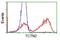 Tectonic Family Member 2 antibody, NBP2-02824, Novus Biologicals, Flow Cytometry image 