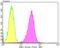 SUMO1 Activating Enzyme Subunit 1 antibody, NBP2-76866, Novus Biologicals, Flow Cytometry image 