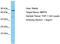 NBPF Member 6 antibody, TA337459, Origene, Western Blot image 