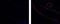 Actin Alpha 2, Smooth Muscle antibody, 41-9760-82, Invitrogen Antibodies, Immunofluorescence image 