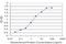 MYC Associated Factor X antibody, H00004149-M01, Novus Biologicals, Enzyme Linked Immunosorbent Assay image 