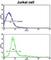 CD9 Molecule antibody, abx028335, Abbexa, Western Blot image 