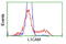 CD171 antibody, LS-C114875, Lifespan Biosciences, Flow Cytometry image 