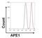 Apurinic/Apyrimidinic Endodeoxyribonuclease 1 antibody, MA1-440, Invitrogen Antibodies, Flow Cytometry image 