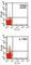 Interleukin 17 Receptor E antibody, NBP2-27367, Novus Biologicals, Flow Cytometry image 