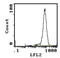 Thy-1 Cell Surface Antigen antibody, CL039RX, Origene, Flow Cytometry image 