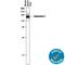 TAG1 antibody, AF4439, R&D Systems, Western Blot image 