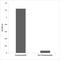 Centromere Protein A antibody, LS-C292248, Lifespan Biosciences, Enzyme Linked Immunosorbent Assay image 