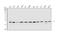 Prostaglandin E Synthase 3 antibody, A04136-1, Boster Biological Technology, Western Blot image 